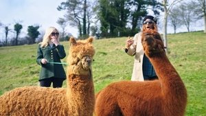 The Real Housewives of London 1. évad Ep.4 4. epizód