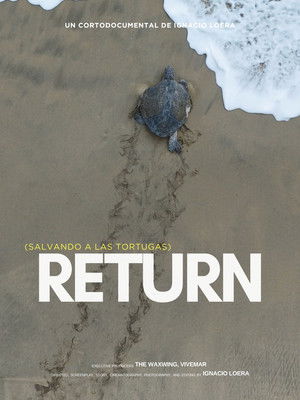 Return: Salvando a las Tortugas poszter