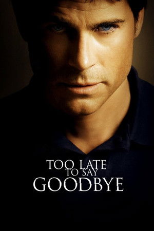 Too Late to Say Goodbye poszter