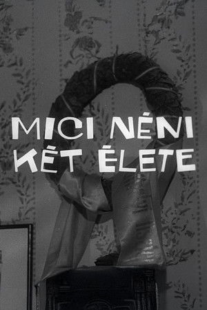 Mici néni két élete poszter