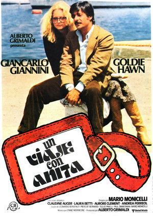 Viaggio con Anita poszter