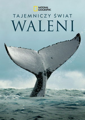 A bálnák titkai poszter