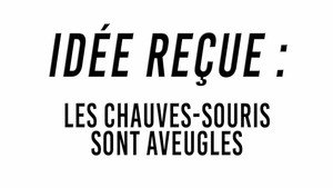 Idée reçue 1. évad Ep.29 29. epizód