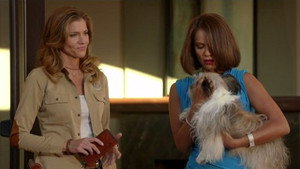 Killer Women Season 1 Ep.5 5. epizód