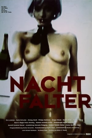 Nachtfalter