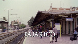Pajarico háttérkép