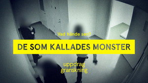 Uppdrag granskning sommar 2021. évad Ep.7 7. epizód