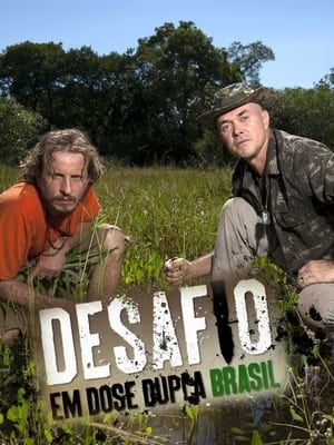 Desafio em Dose Dupla Brasil poszter