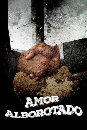 Amor alborotado