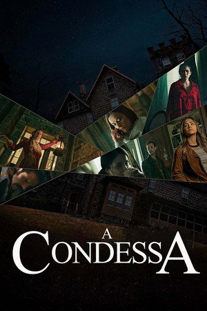 La Condesa poszter