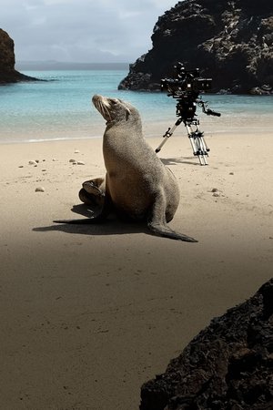 Guardians of the Galapagos poszter