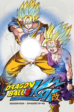 Dragon Ball Z Kai