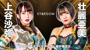 TRIANGLE DERBY Ⅰ in Nagoya ～名古屋来てちょうよスターダム～ háttérkép