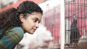 ഹെലൻ háttérkép