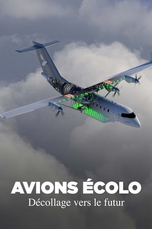 Grünes Fliegen - Reisen in der Zukunft poszter