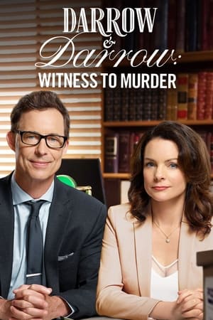 Darrow & Darrow: Witness to Murder poszter