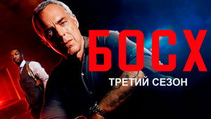 Harry Bosch - A nyomozó kép
