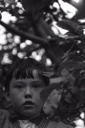 An Untitled Film poszter