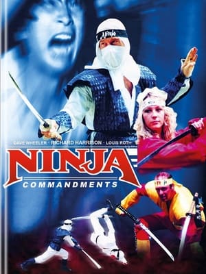 Ninja Commandments poszter