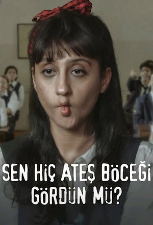Láttál valaha szentjánosbogarakat? poszter