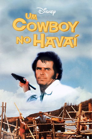 A partra vetett cowboy poszter