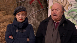 Un medico in famiglia Season 10 Ep.10 10. epizód