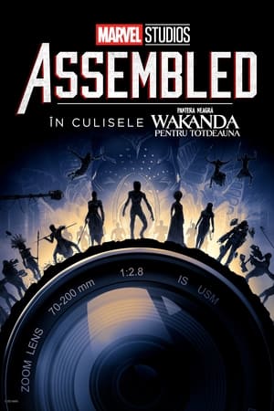 Assembled: Fekete Párduc 2. werkfilm poszter