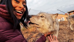 Mutual of Omaha's Wild Kingdom Protecting the Wild 1. évad Ep.12 12. epizód