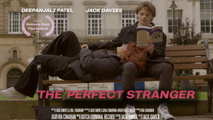 The Perfect Stranger háttérkép
