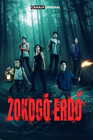 Zokogó erdő poszter