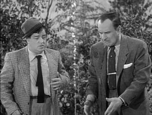 The Abbott and Costello Show Season 2 Ep.14 14. epizód