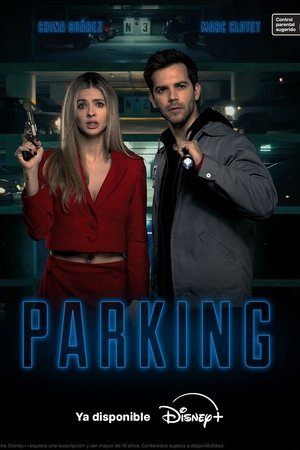 Parking poszter