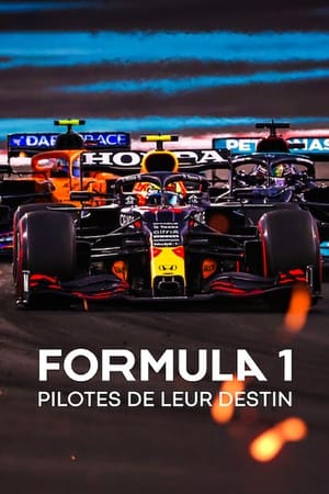 Formula 1: Hajsza a túlélésért poszter