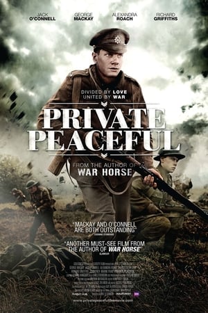 Private Peaceful poszter