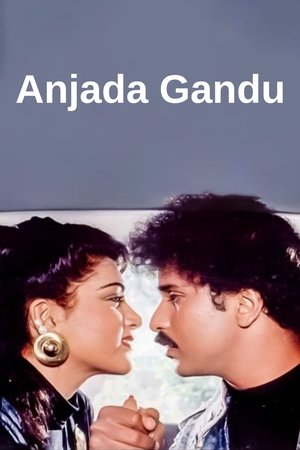 Anjada Gandu poszter