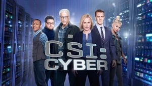 CSI: Cyber helyszínelők kép