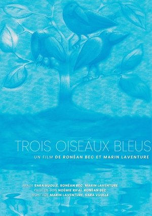 Trois oiseaux bleus poszter