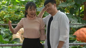 秘密菜园 háttérkép