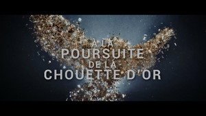 À la poursuite de la chouette d'or háttérkép