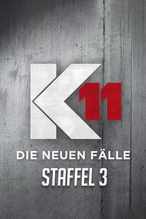 K11 - Die neuen Fälle