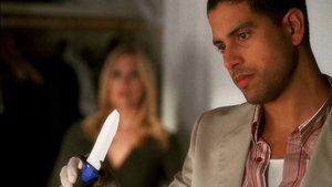 CSI: Miami-helyszínelők 6. évad Ep.10 A dajkám