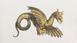 Draconis. La Storia del Drago di Rimini háttérkép