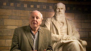 Attenborough's Passion Projects 1. évad Ep.4 4. epizód