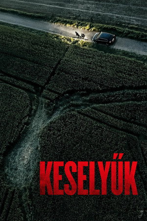 Keselyűk