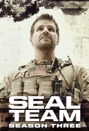 SEAL Team poszter