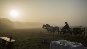 A fekete bojtár háttérkép