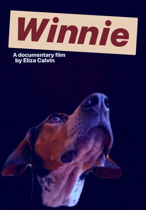 Winnie poszter