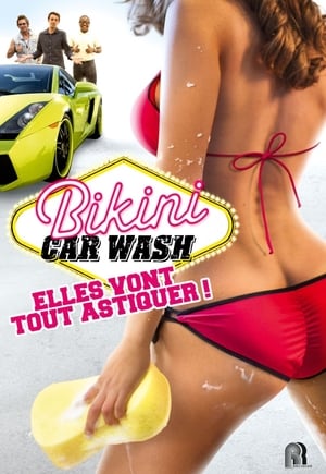 All American Bikini Car Wash poszter