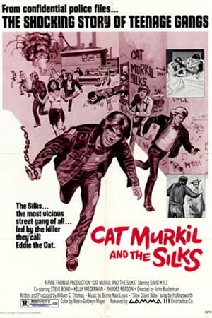 Cat Murkil and the Silks poszter