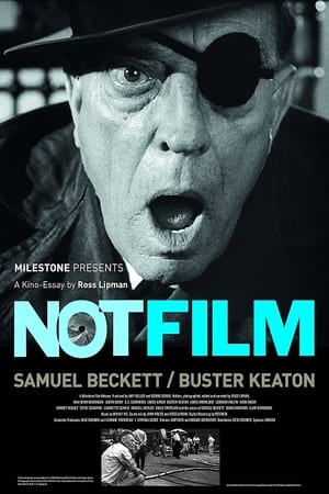 Notfilm poszter